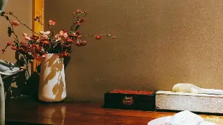 揭秘：关于桑拿的健康误区与正确养生之道 特色图片