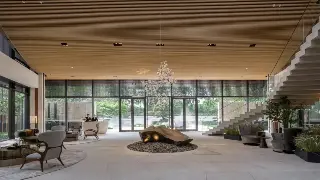 颠覆传统！长沙按摩养生迎来技术革新浪潮，个性化定制成主流！ 封面